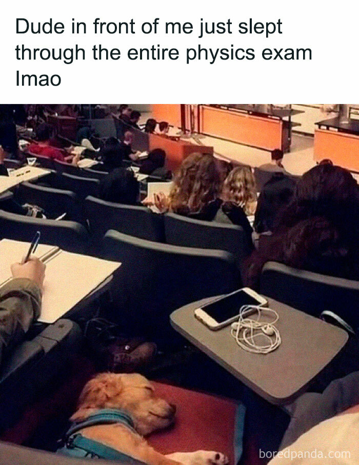 A student dozing in a lecture hall with a dog resting nearby—a funny doggo meme we all relate to!