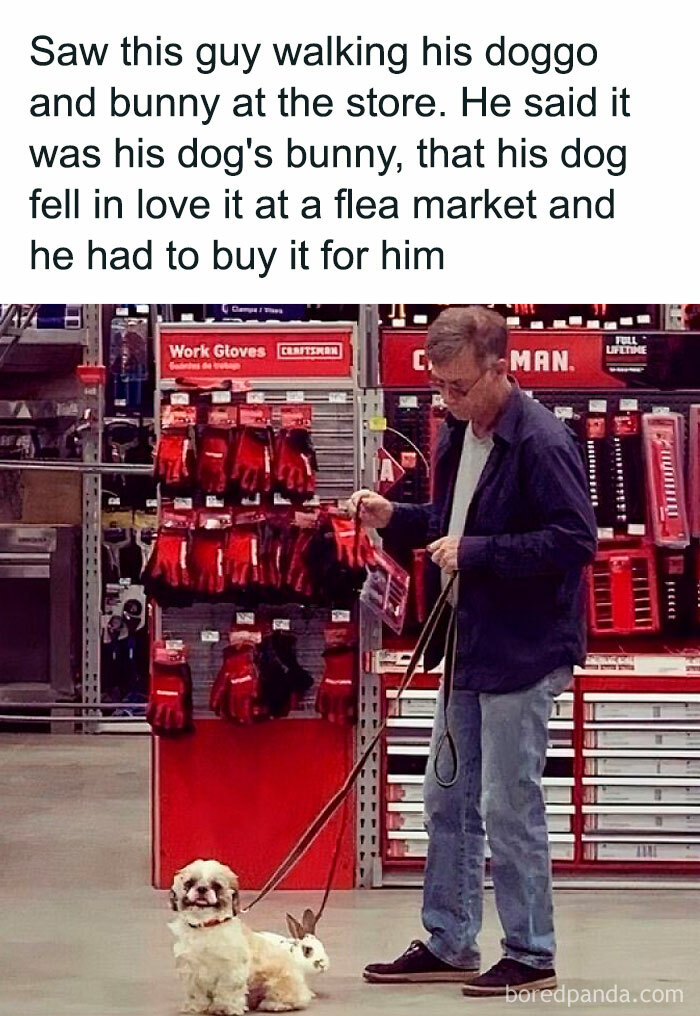 A man strolling a dog and a bunny on leashes inside a store—a quirky doggo meme moment to share!