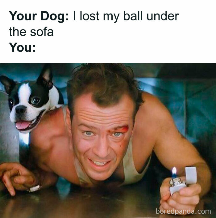 A man and dog hunting under a sofa with a lighter for a lost ball—a relatable doggo meme adventure!