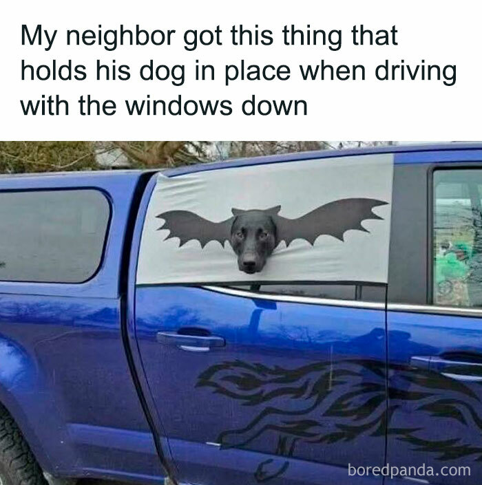 A dog’s head popping through a car window cover with bat wings on a blue truck—a wild doggo meme!