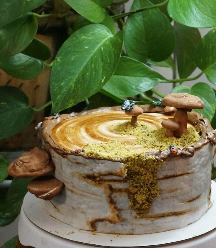 A whimsical woodland cake with edible mushrooms, perfect for a special celebration.