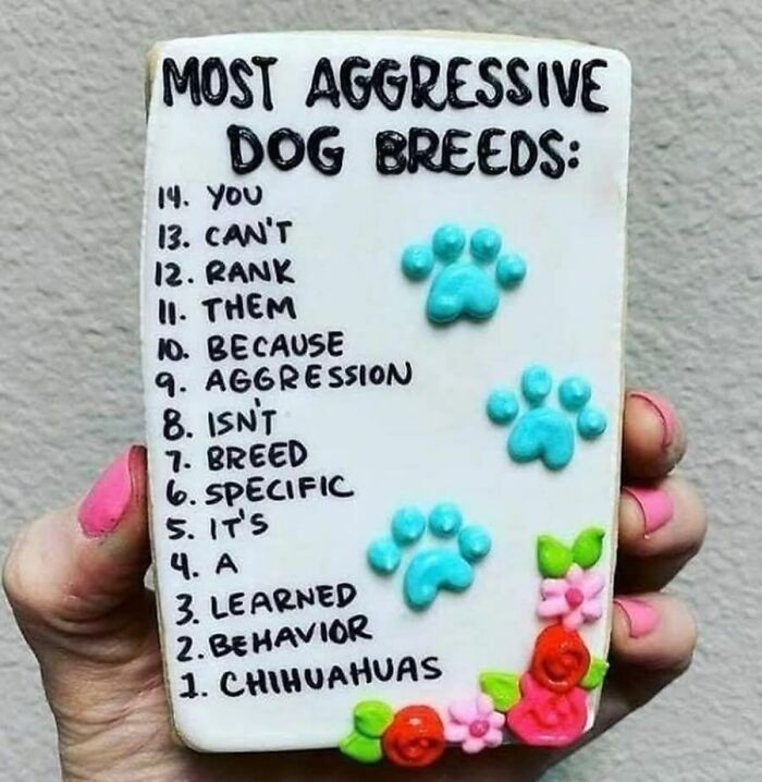 A playful doggo meme cookie with a list of ‘aggressive breeds’ and cute paw decorations for a laugh.