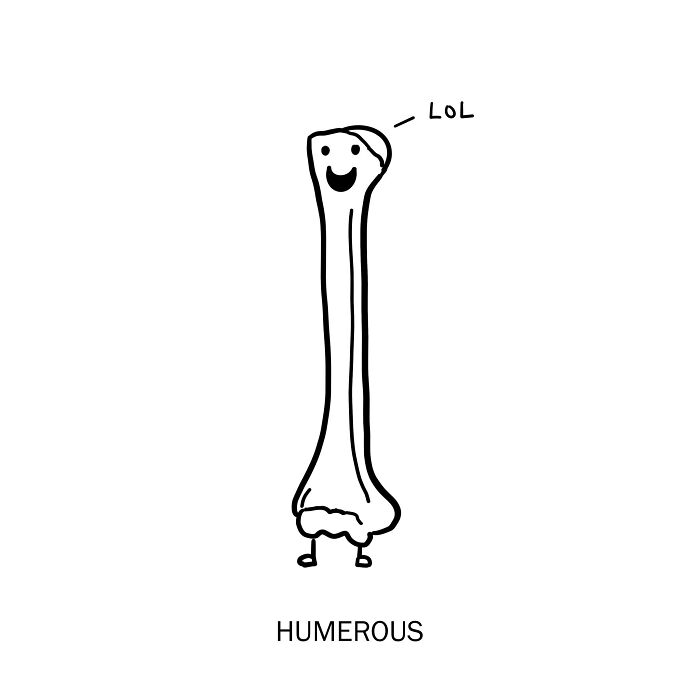 A smiling humerus bone with LOL scribbled on it, a bony good laugh in doodle form.