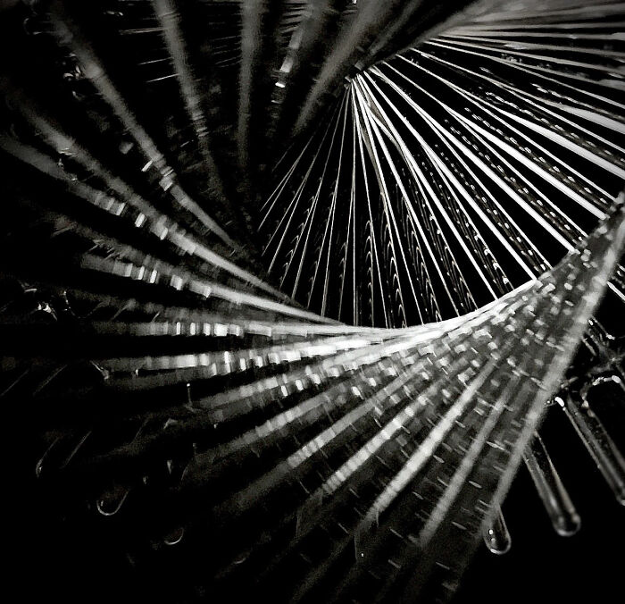 Discover Anduriel Widmark’s Stunning Glass Art: Where Math Meets Magic (10 Photos)