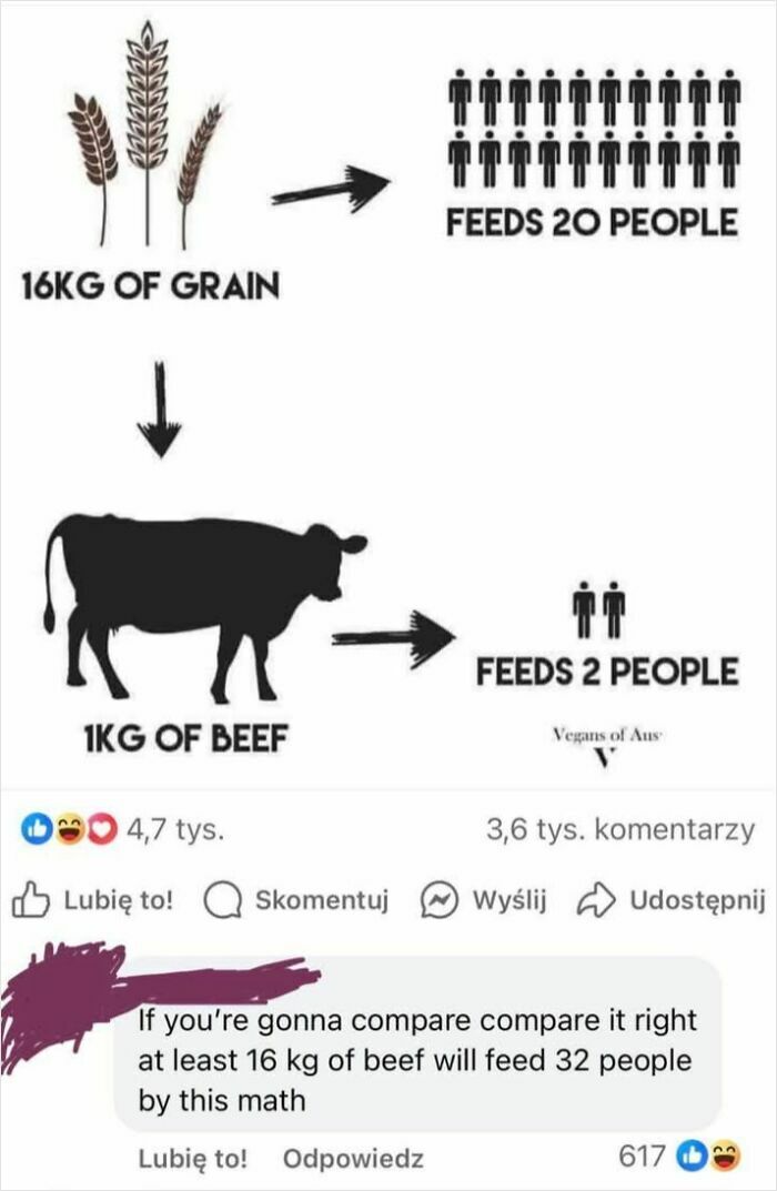 An infographic sparks online giggles with wrong comments on grain vs. beef feeding.