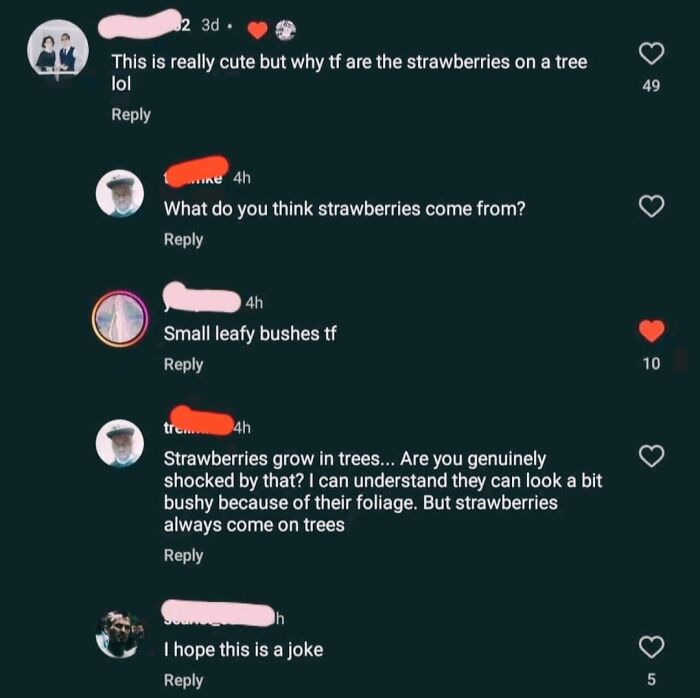 Online group chuckles at a wild claim about strawberries growing on trees.