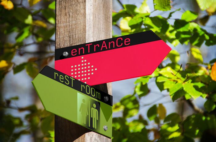 19 Stunning Designs That Feel Alive and Connect With You