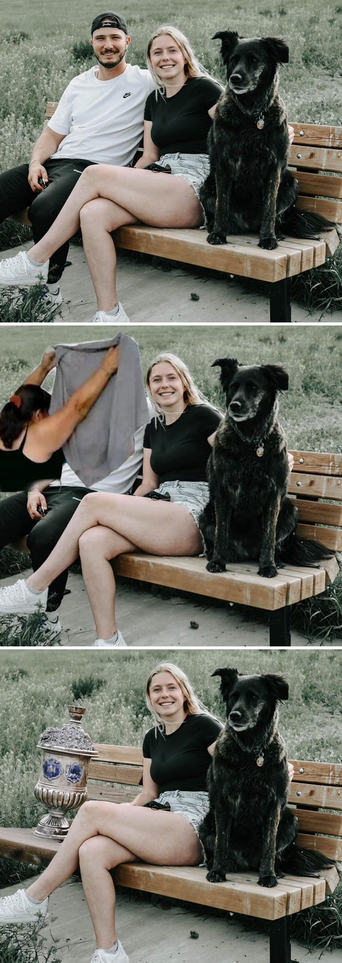 Woman and dog on a bench with hilarious stranger edits.
