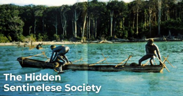 Sentinelese Labeled A Guide to the Secretive Sentinelese People